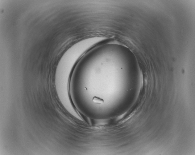 X0000060780092200511171254