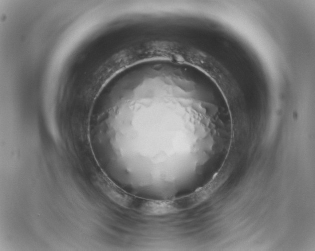 X0000060780093200511171254