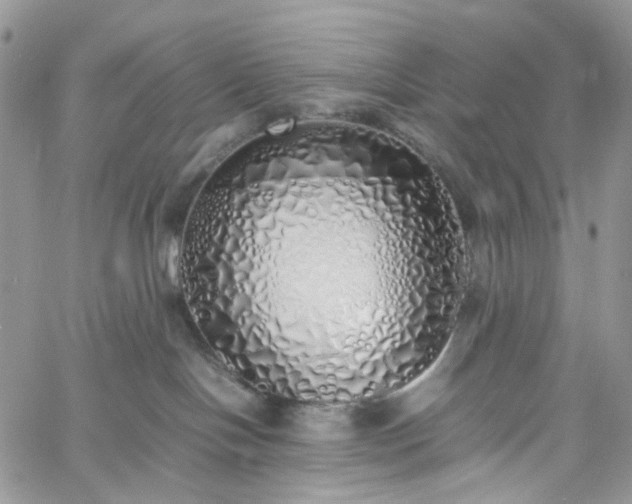 X0000060780094200511171254