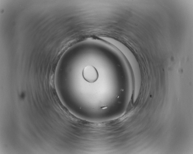 X0000060780096200511171254