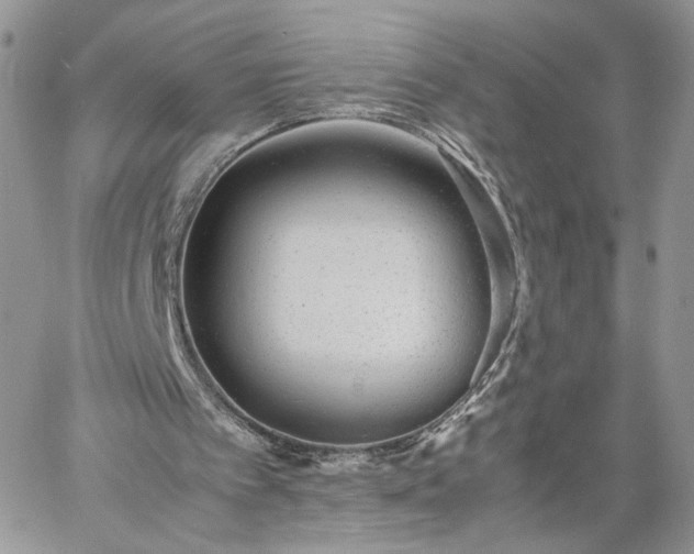 X0000060780097200511171253