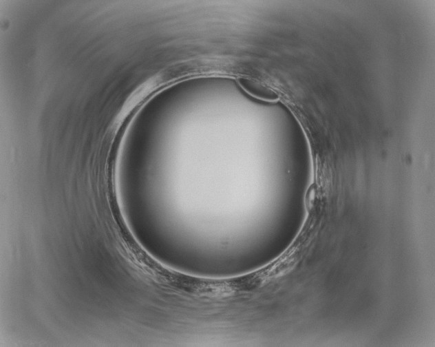 X0000060780099200511171253