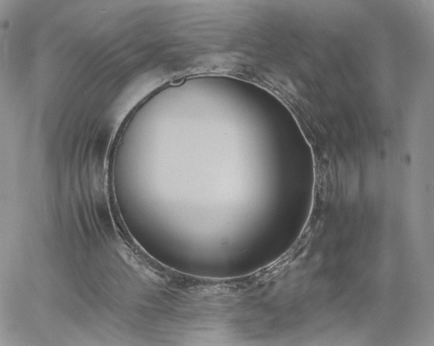 X0000060780100200511171253