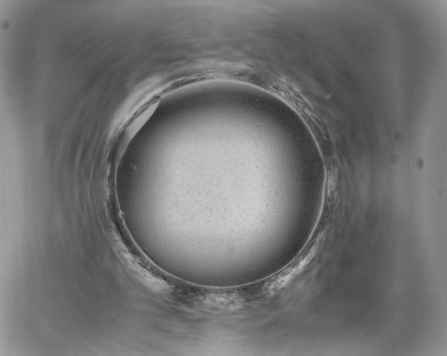 X0000060780101200511171253