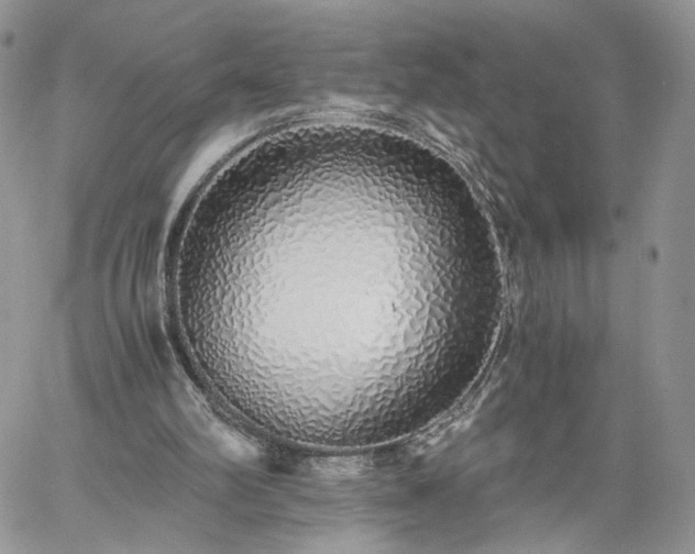 X0000060780102200511171253