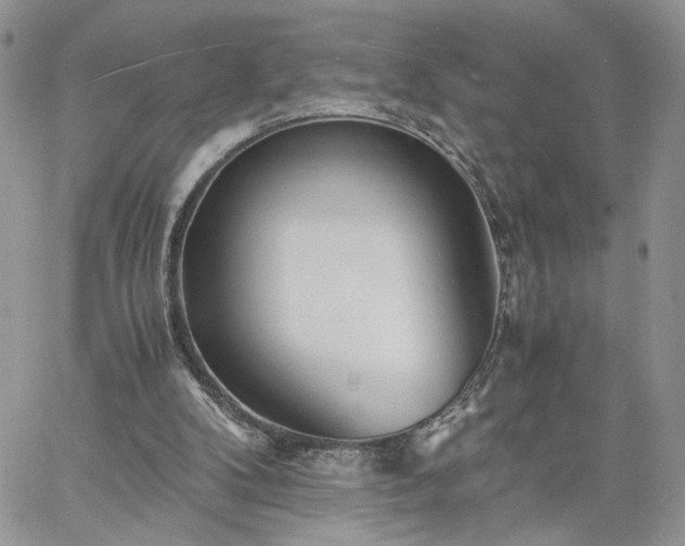 X0000060780104200511171253