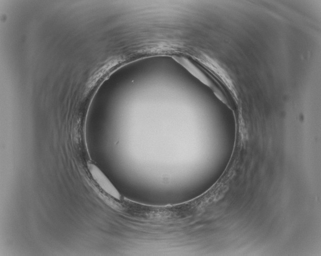 X0000060780105200511171253