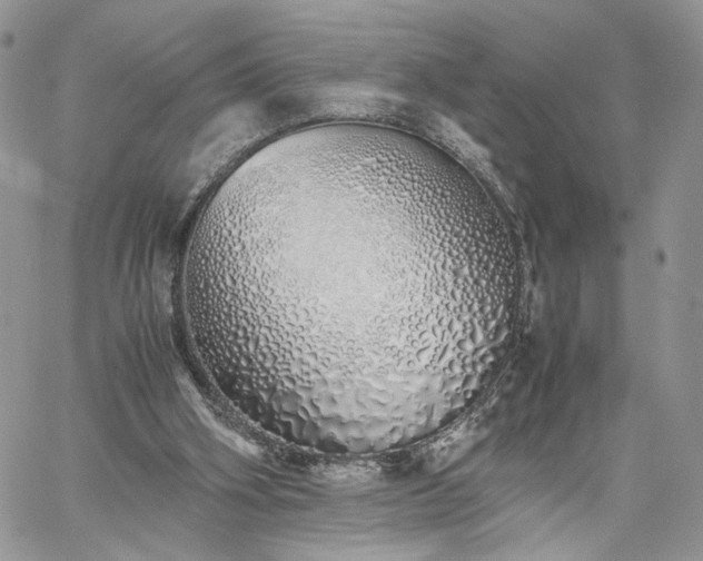 X0000060780106200511171253