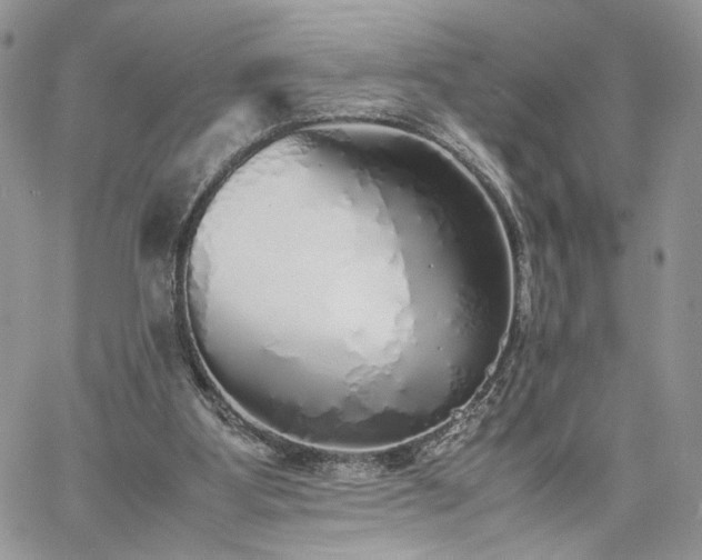 X0000060780107200511171253