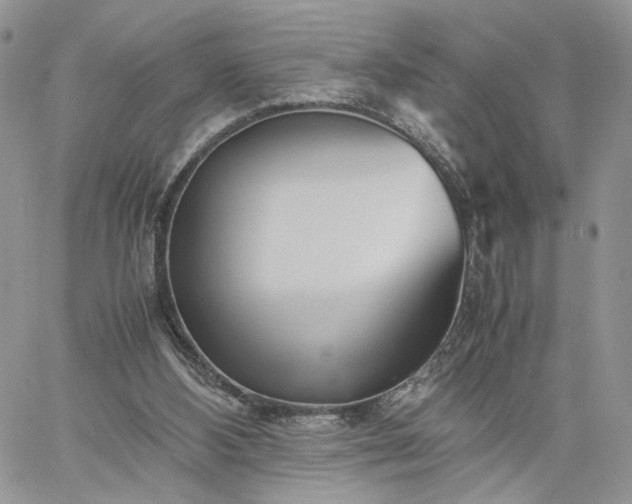 X0000060780108200511171253