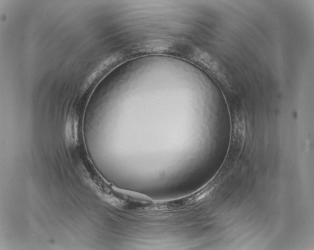 X0000060780110200511171253