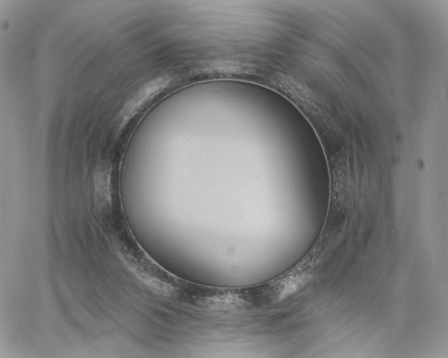 X0000060780112200511171253