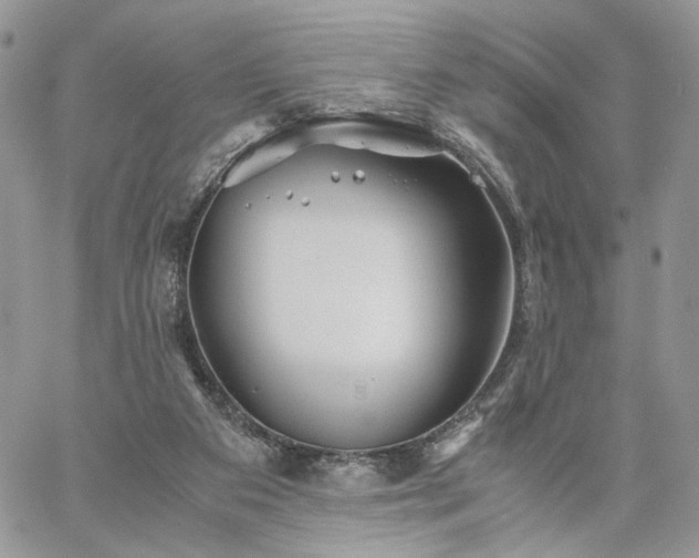 X0000060780113200511171253