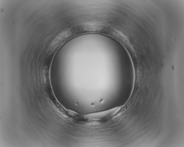 X0000060780114200511171253