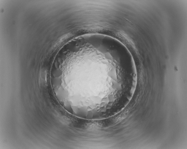 X0000060780115200511171253