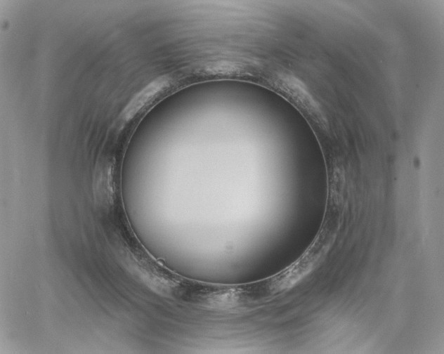 X0000060780116200511171253