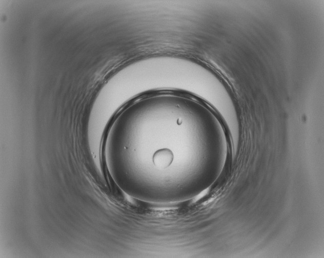 X0000060780117200511171253