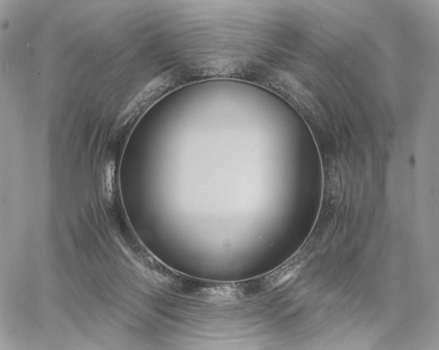 X0000060780118200511171253