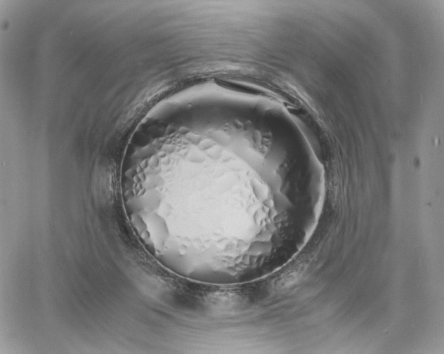 X0000060780119200511171253