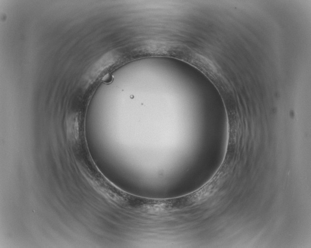 X0000060780120200511171253