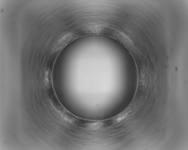 X0000060780122200511171253