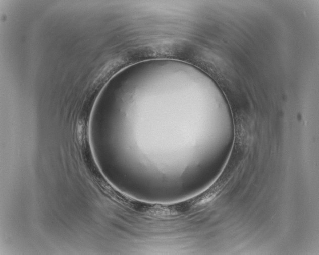 X0000060780123200511171252