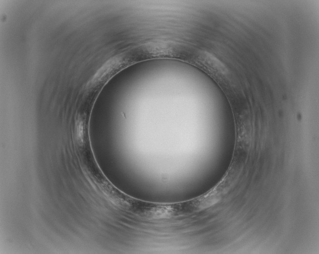 X0000060780124200511171252