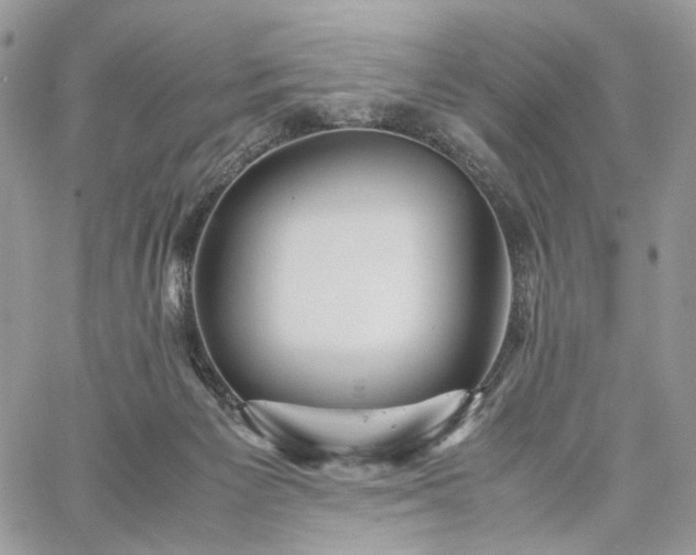 X0000060780125200511171252