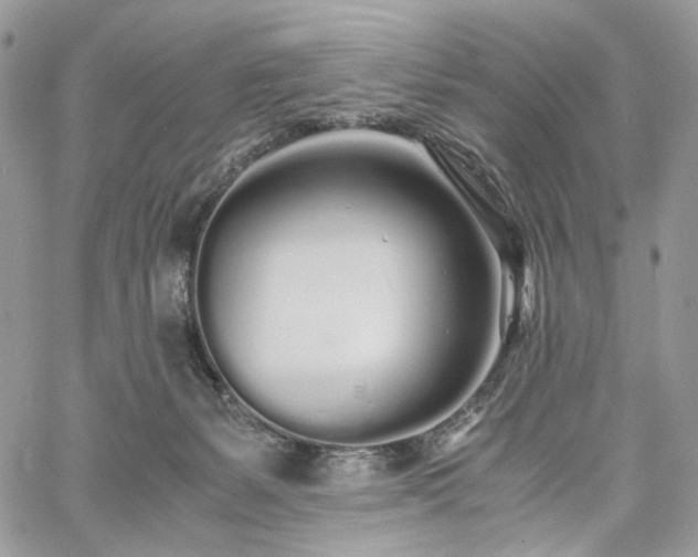 X0000060780127200511171252