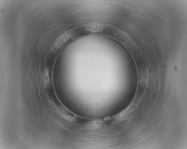 X0000060780128200511171252