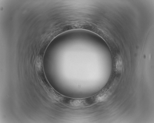 X0000060780129200511171252