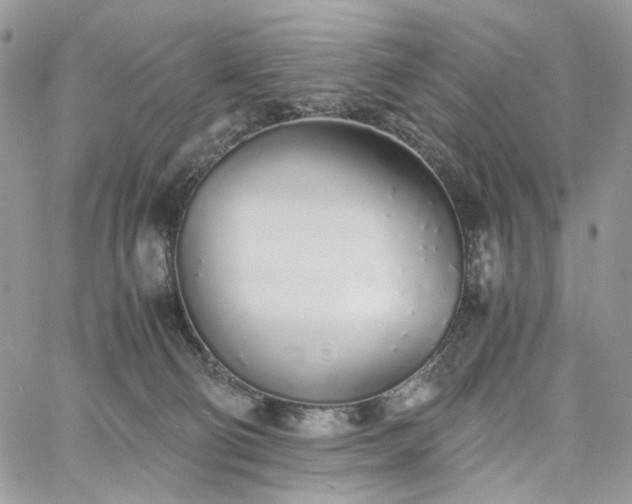 X0000060780130200511171252