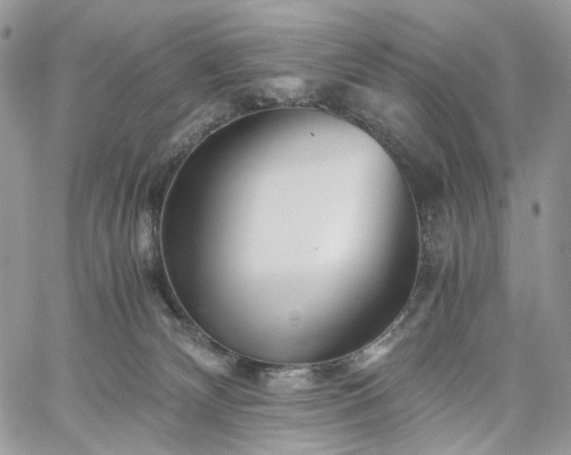 X0000060780132200511171252