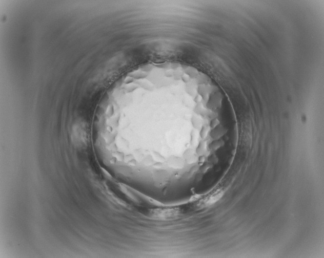 X0000060780135200511171252