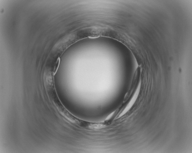 X0000060780137200511171252