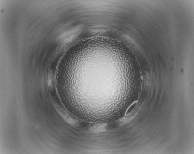 X0000060780138200511171252