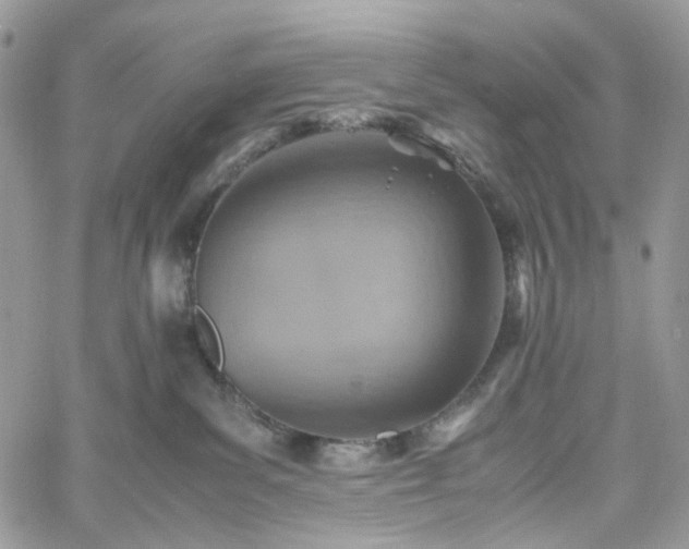 X0000060780139200511171252