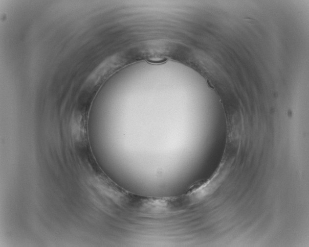 X0000060780140200511171252