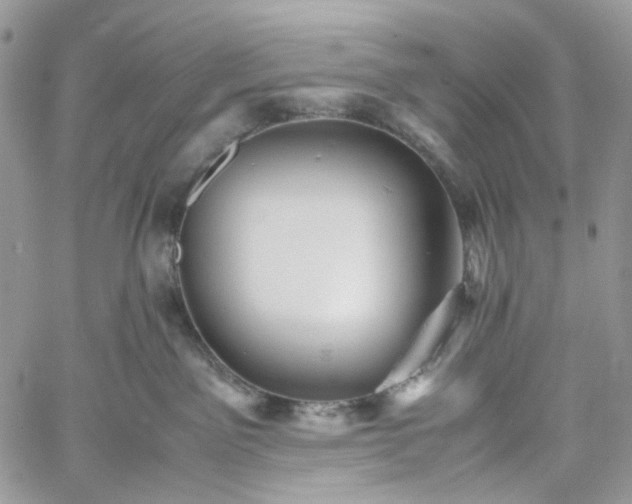 X0000060780141200511171252