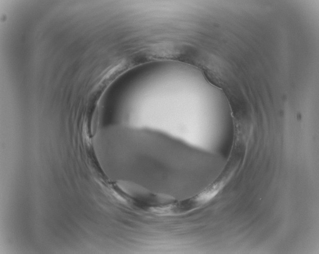 X0000060780143200511171252