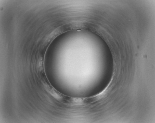 X0000060780144200511171252