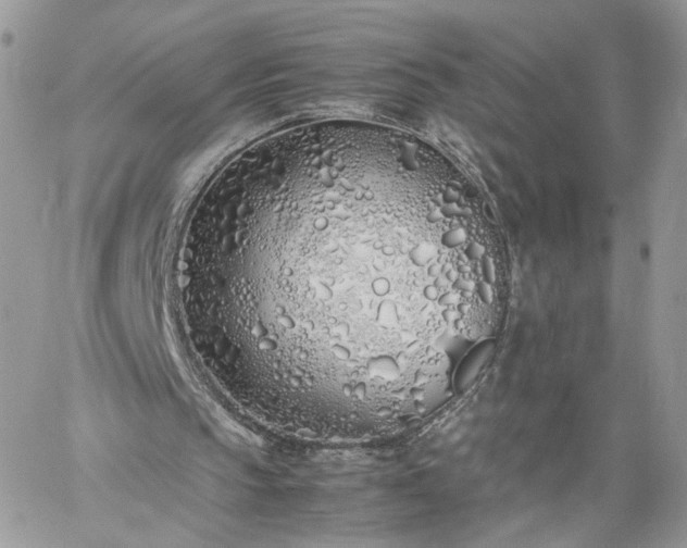 X0000060780145200511171251