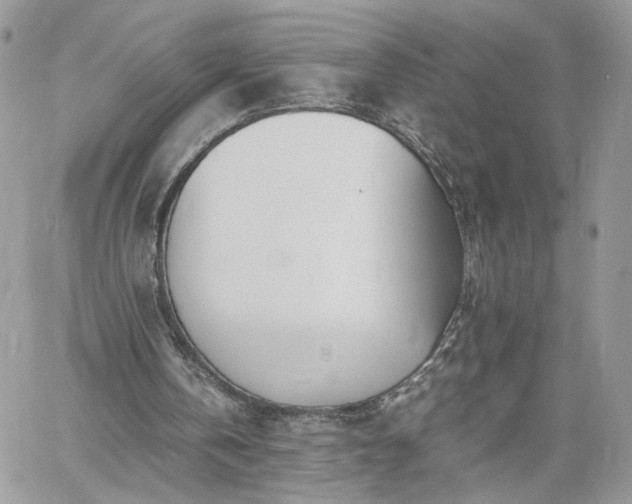 X0000060780146200511171251