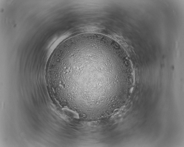 X0000060780147200511171251