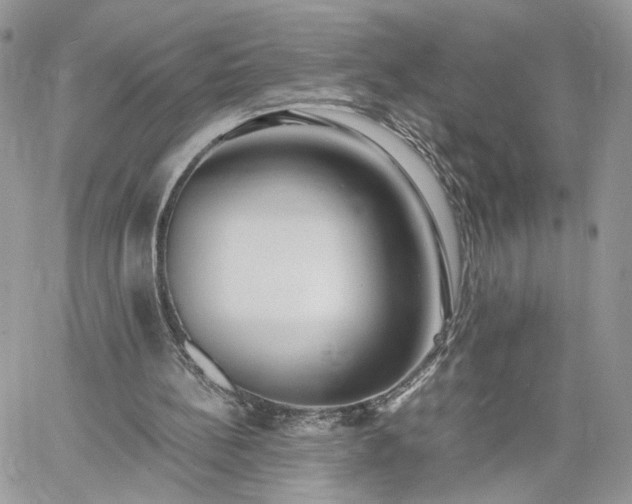 X0000060780148200511171251