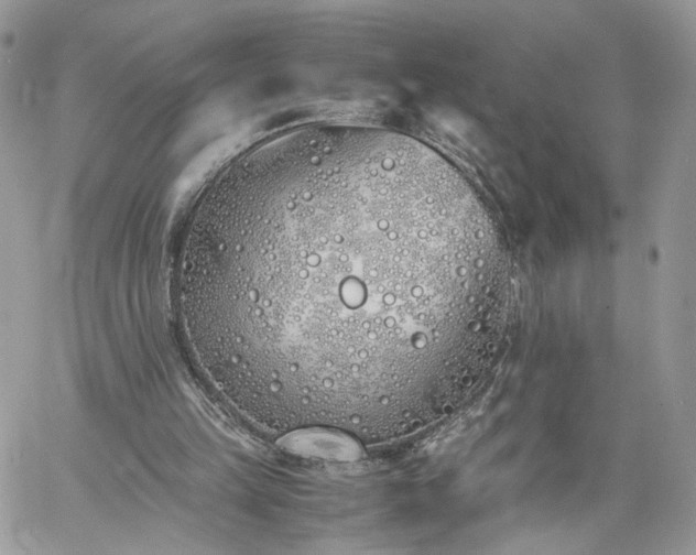 X0000060780149200511171251