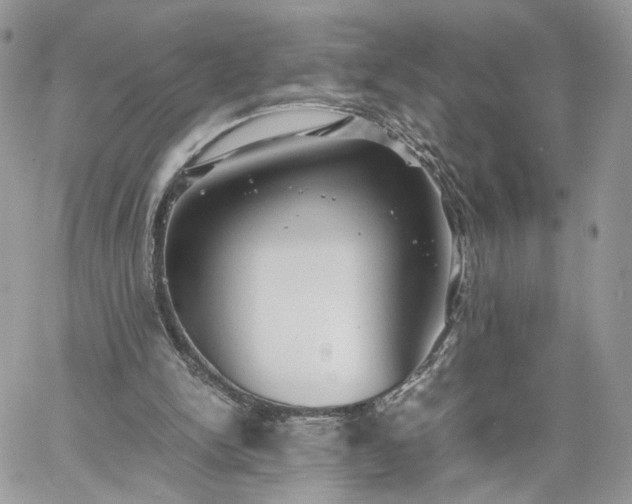 X0000060780150200511171251