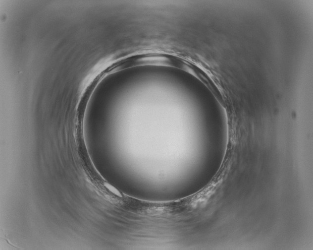 X0000060780152200511171251