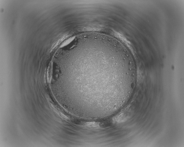 X0000060780153200511171252