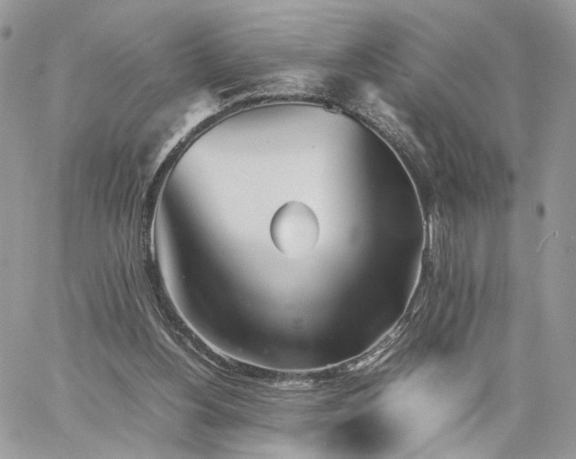 X0000060780156200511171252